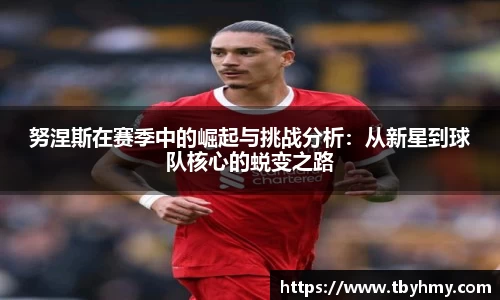 努涅斯在赛季中的崛起与挑战分析：从新星到球队核心的蜕变之路